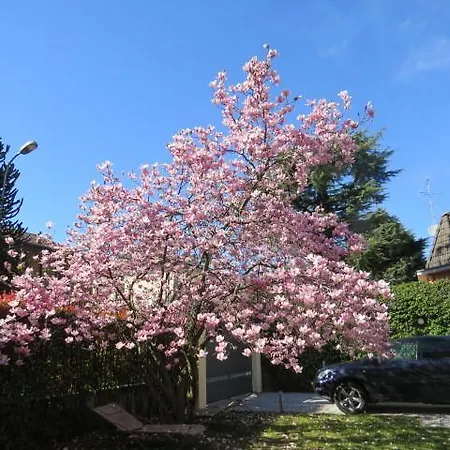 فندق مبيت وإفطار Virginia *